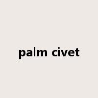 palm civet是什么意思