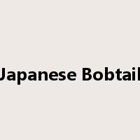 Japanese Bobtail是什么意思