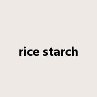 rice starch是什么意思