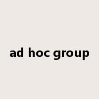 ad hoc group是什么意思