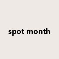 spot month是什么意思