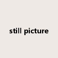still picture是什么意思
