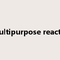 multipurpose reactor是什么意思