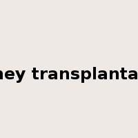 kidney transplantation是什么意思