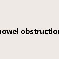 bowel obstruction是什么意思