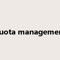 quota management是什么意思