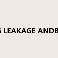 LDG&BKG LEAKAGE ANDBREAKAGE是什么意思