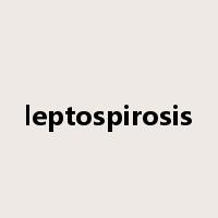 leptospirosis是什么意思