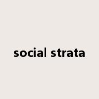 social strata是什么意思