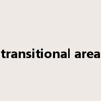 transitional area是什么意思