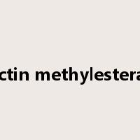 pectin methylesterase是什么意思