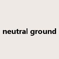 neutral ground是什么意思