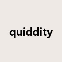 quiddity是什么意思