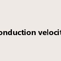 conduction velocity是什么意思