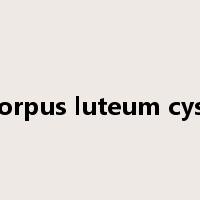 corpus luteum cyst是什么意思