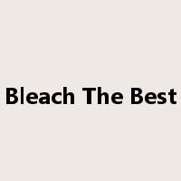 Bleach The Best是什么意思