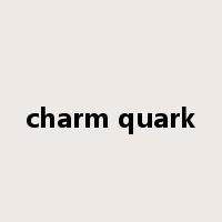 charm quark是什么意思