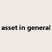 asset in general是什么意思