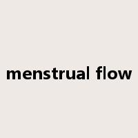 menstrual flow是什么意思