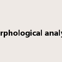 morphological analysis是什么意思