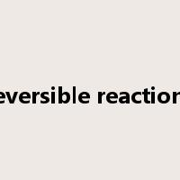 reversible reactions是什么意思