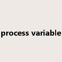 process variable是什么意思