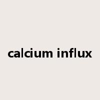 calcium influx是什么意思
