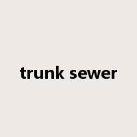 trunk sewer是什么意思