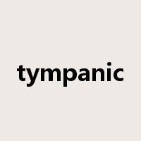 tympanic是什么意思