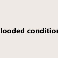 flooded condition是什么意思