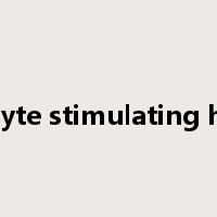 melanocyte stimulating hormone是什么意思