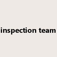 inspection team是什么意思