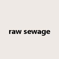 raw sewage是什么意思
