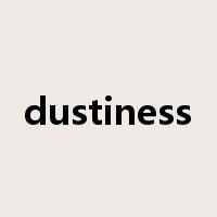 dustiness是什么意思