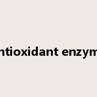 antioxidant enzyme是什么意思