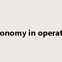 autonomy in operation是什么意思