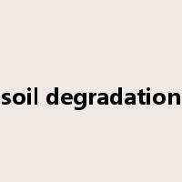 soil degradation是什么意思