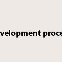 development process是什么意思