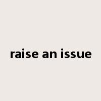 raise an issue是什么意思