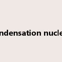 condensation nucleus是什么意思
