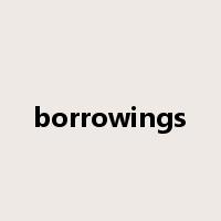 borrowings是什么意思