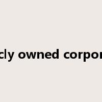 publicly owned corporation是什么意思