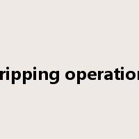 tripping operation是什么意思
