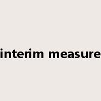 interim measure是什么意思