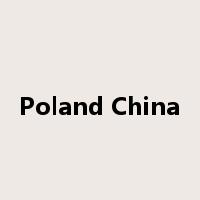 Poland China是什么意思