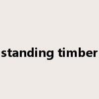 standing timber是什么意思