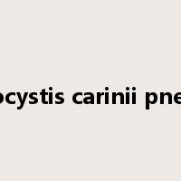 pneumocystis carinii pneumonia是什么意思