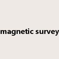 magnetic survey是什么意思