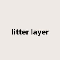 litter layer是什么意思