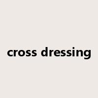 cross dressing是什么意思